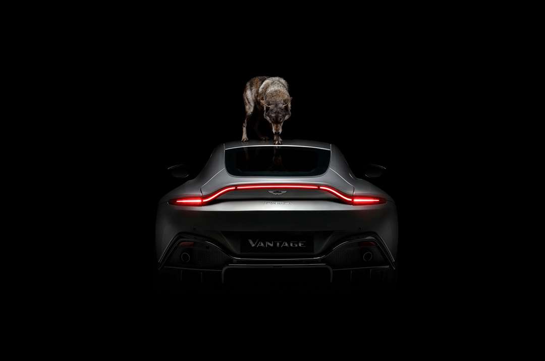 new vantage aston martin