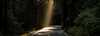 Brand_07_asset_13