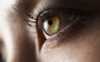 Brand_07_asset_32