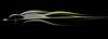 Valkyrie_06_asset_16
