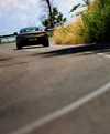 timeless-amoc